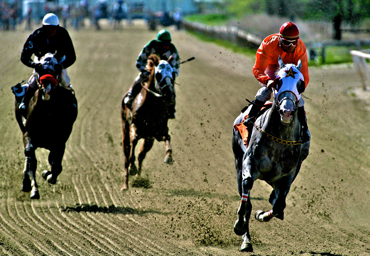 horse-race.jpg