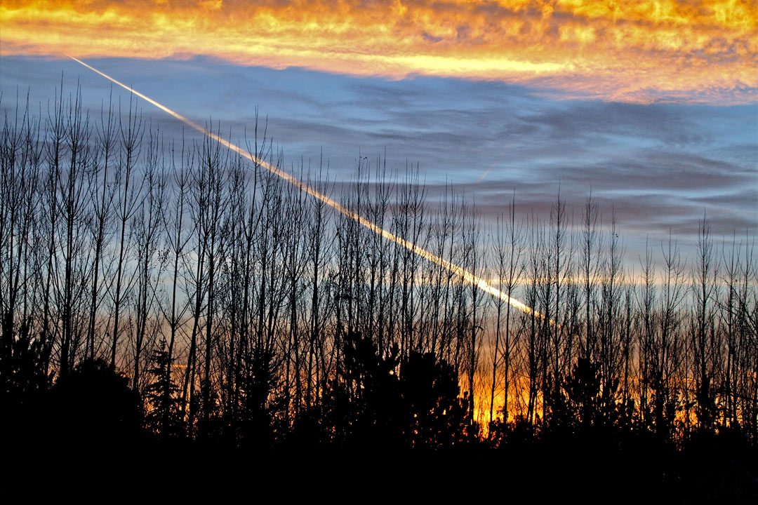 sunriseplane.jpg